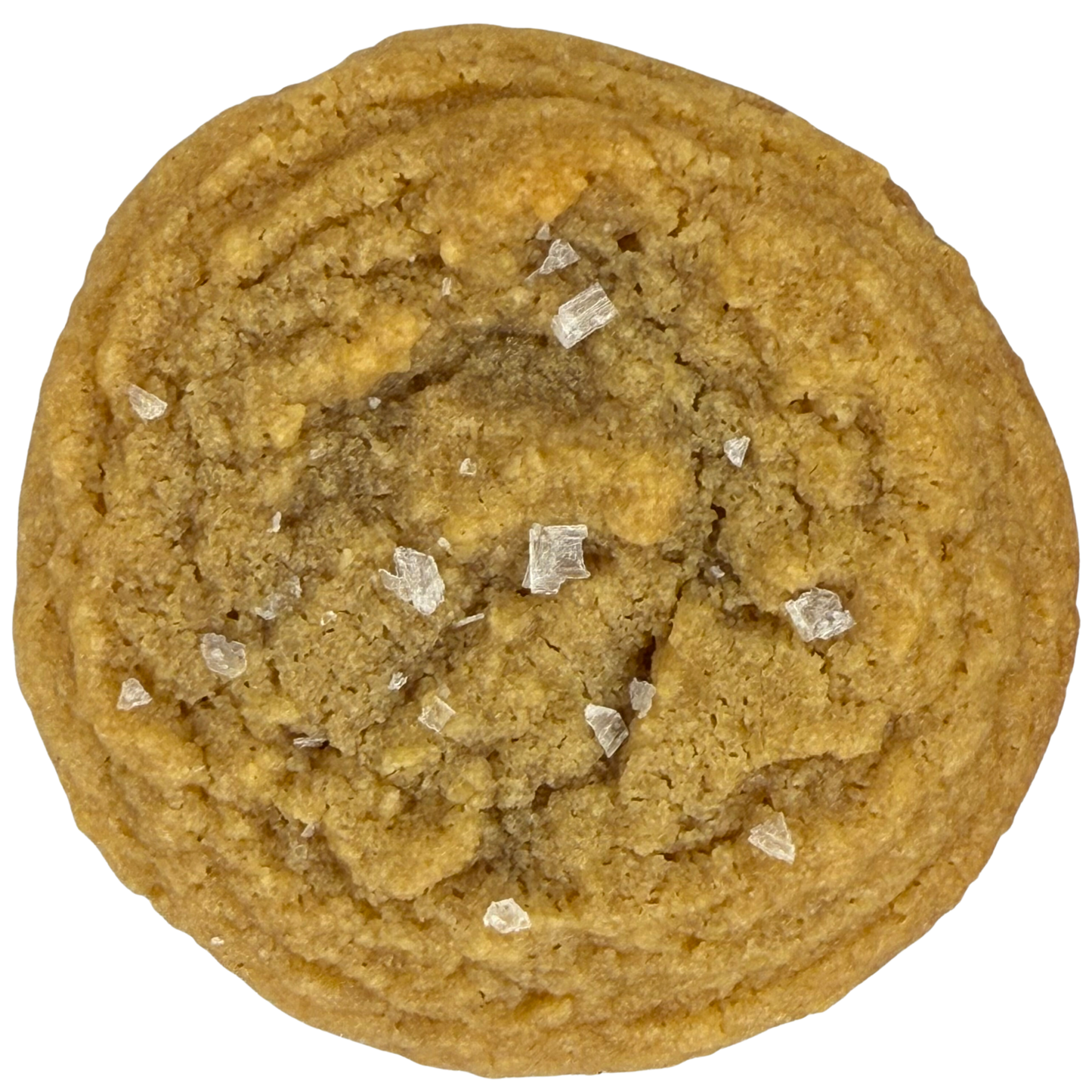 Peanut Butter Cookie