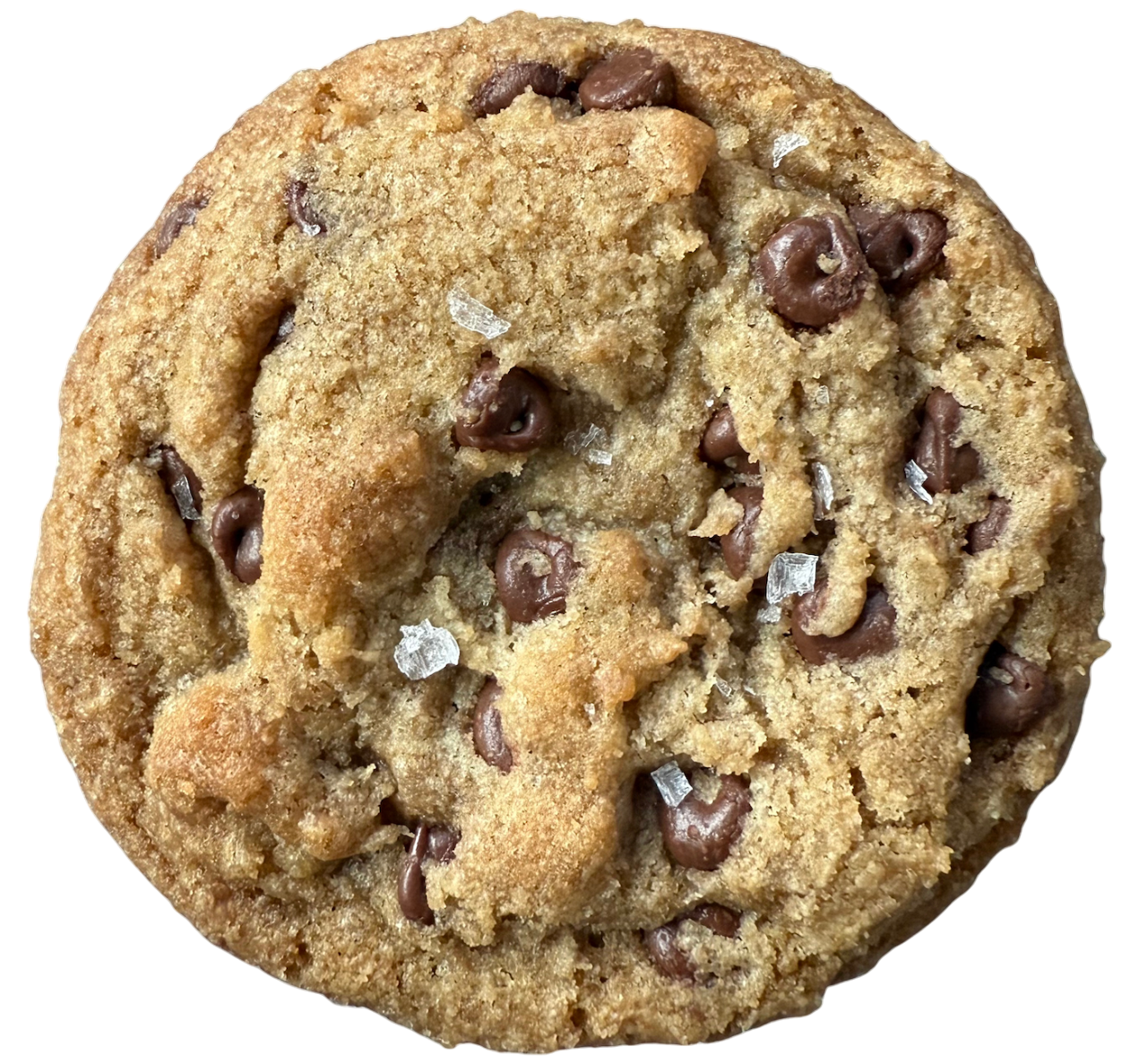 Chocolate Chip Cookie
